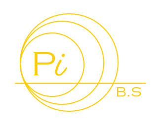 Pi  Business  Solutions